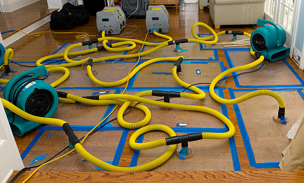 Professional Structural Drying And Dehumidification technician working in Marietta, GA
